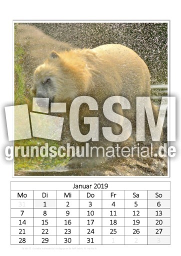 Januar_Eisbär.pdf